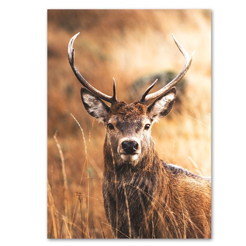 TableauCerfGrandFormat toile