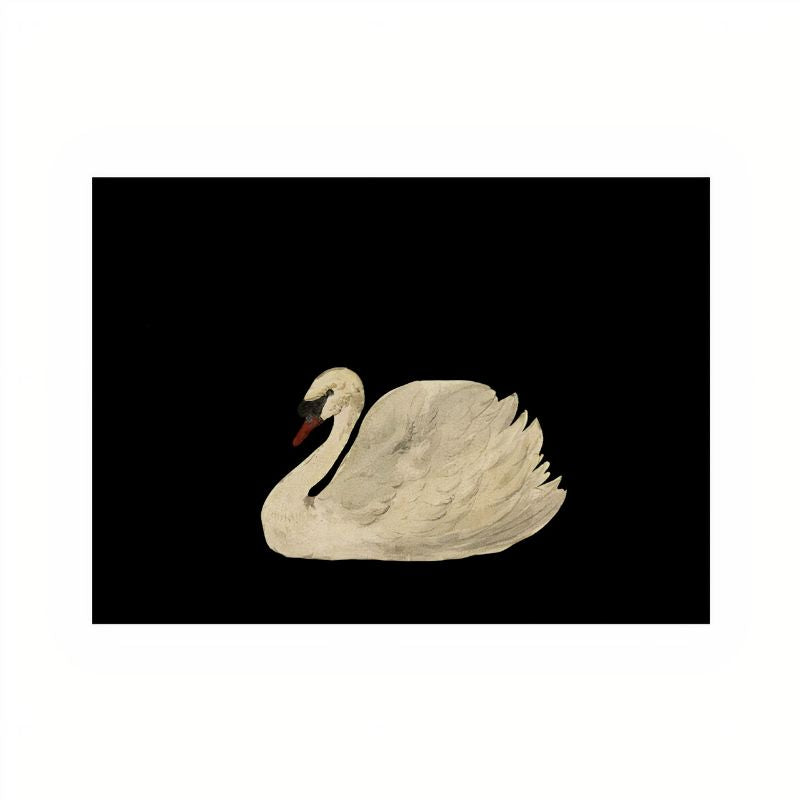 TableauCygneBlancsurFondNoir toile