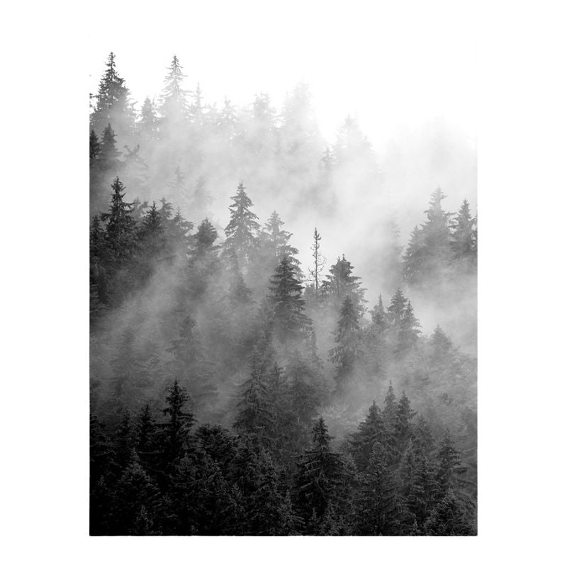 TableauForetBrumeuseNoiretBlanc toile 2