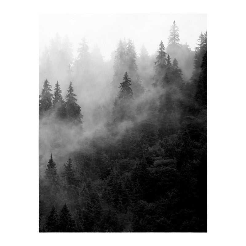 TableauForetBrumeuseNoiretBlanc toile 1