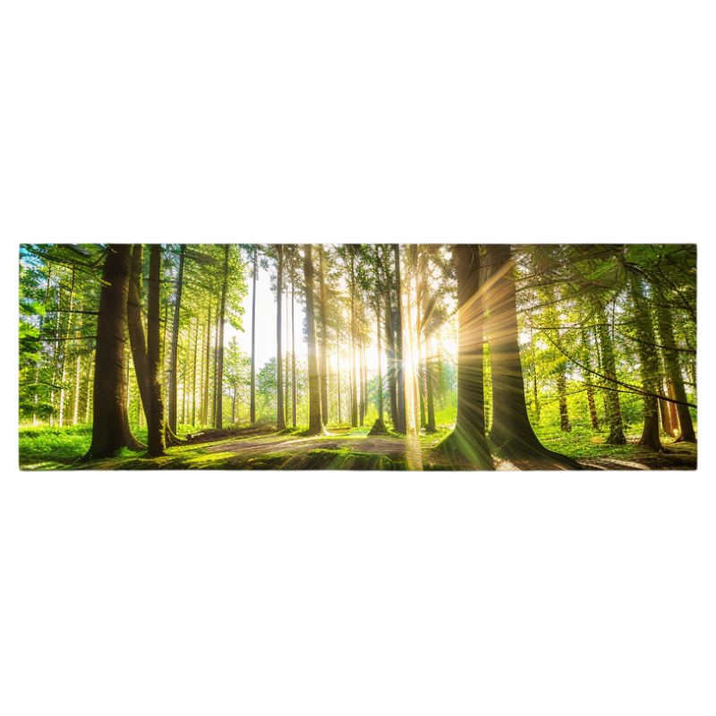 TableauForetEnsoleillee toile 2