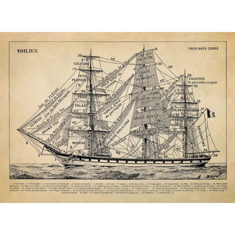 Voilier Navigateur toile 1