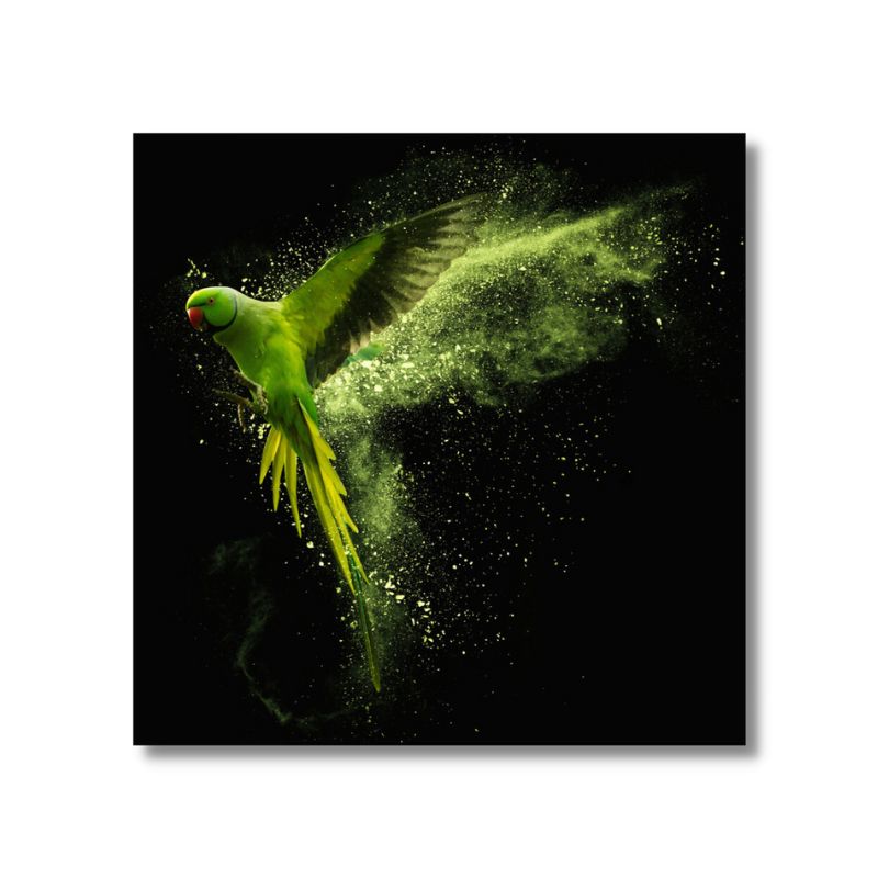 Tableau perroquet vert toile