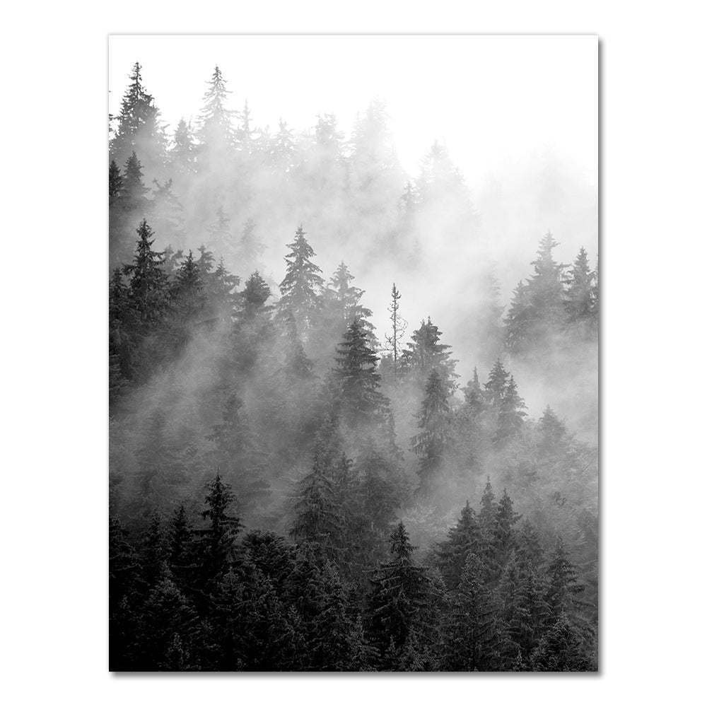Tableau forêt noir et blanc