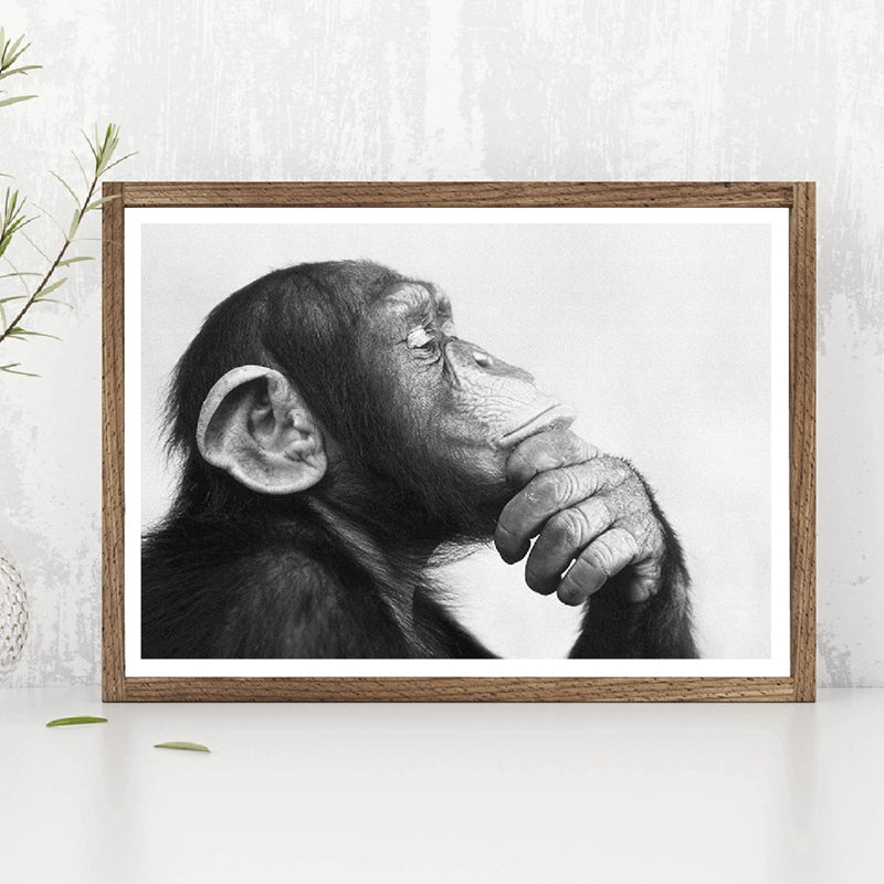 tableau singe penseur