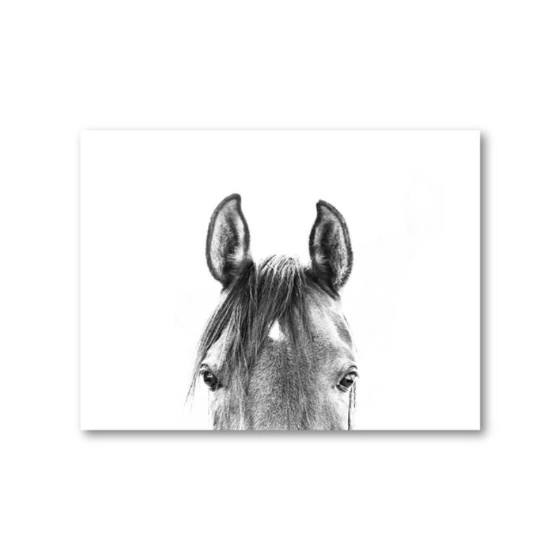 tableau toile tête de cheval