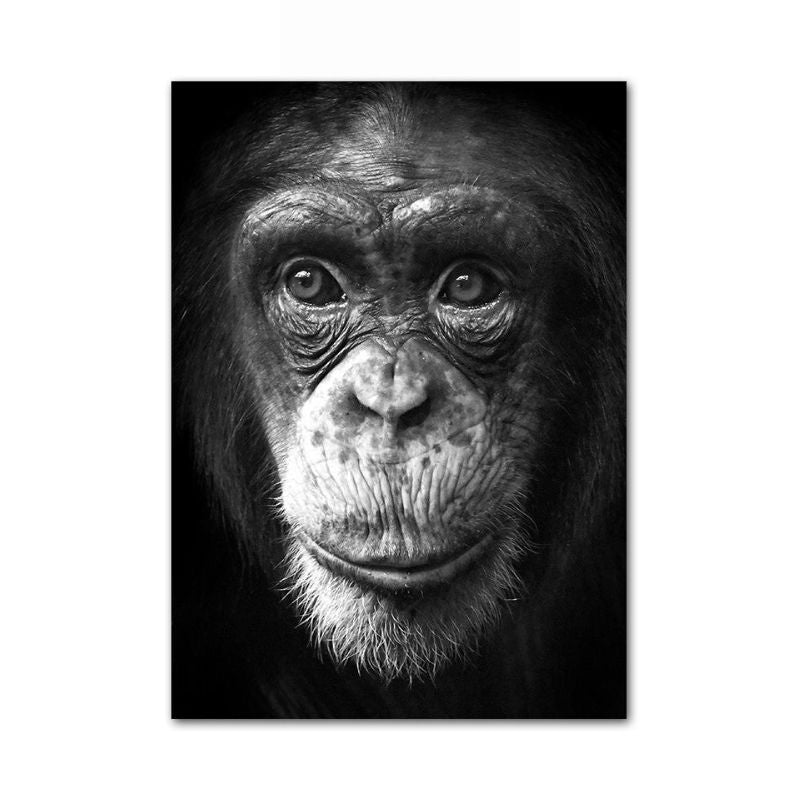 toile singe noir et blanc
