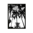 Tableau photographie cabane du sauveteur et palmiers noir et blanc decoration