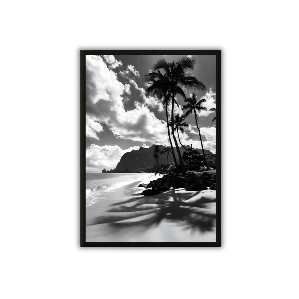 Tableau photographie plage tropicale noir et blanc deco mur