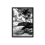 Tableau photographie plage tropicale noir et blanc deco mur