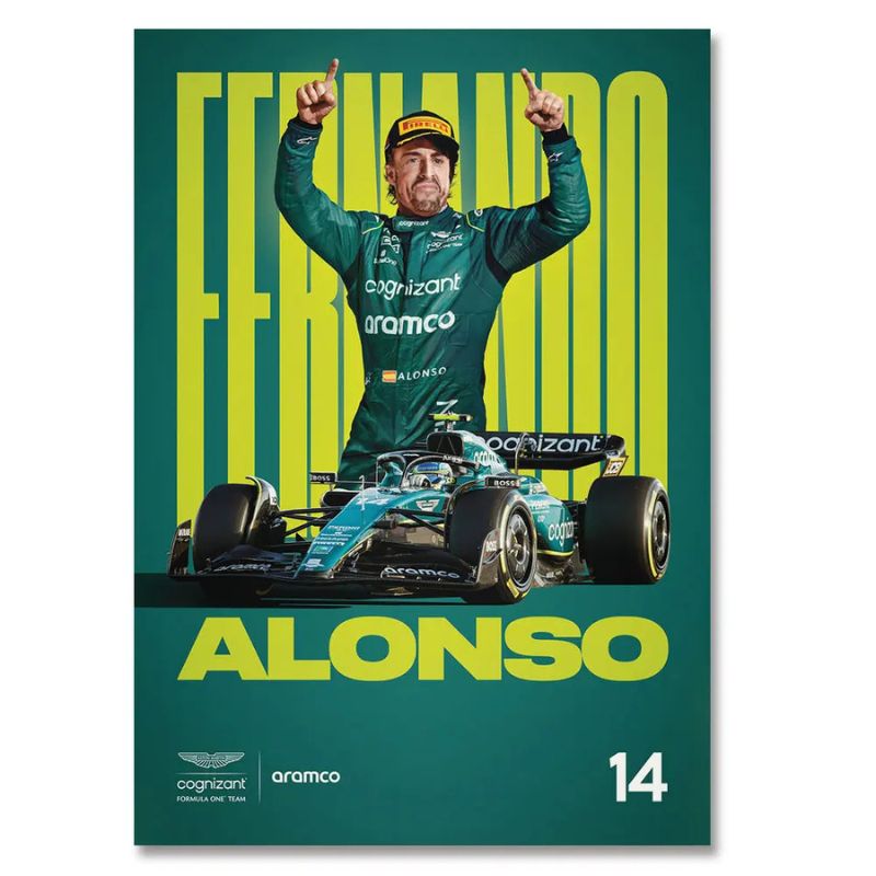 Tableau Fernando Alonso reel toile