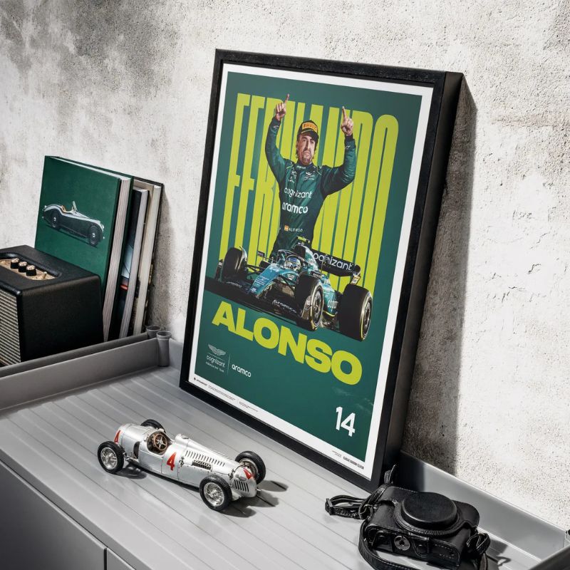 Tableau Fernando Alonso reel profil