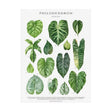 TableauFeuillesd_Arbres toile 3
