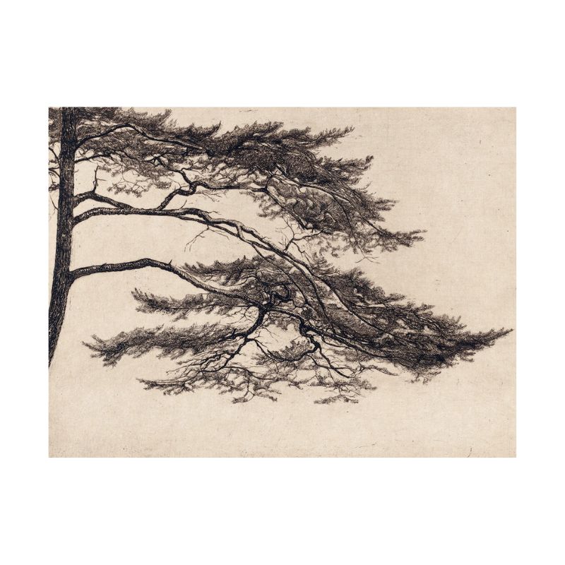 Tableaubranched_arbrevintage toile