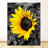 Triptyque tournesols noir et blanc tableau salon