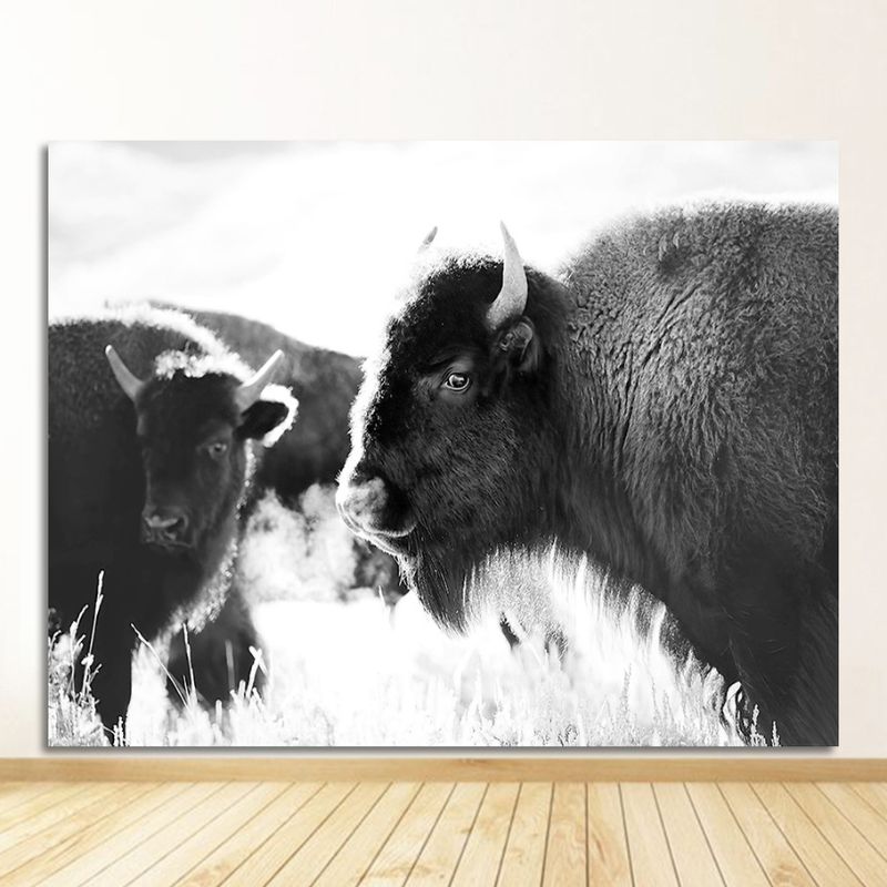 Tableau bison noir et blanc cadre