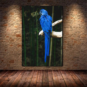 Tableau perroquet bleu
