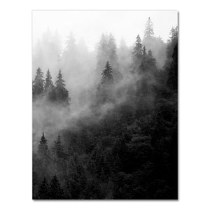 Tableau forêt noir et blanc