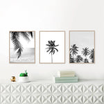 Tableau palmier noir et blanc