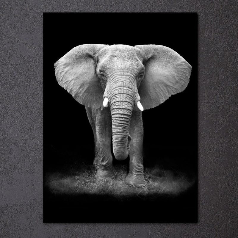 tableau elephant noir blanc toile