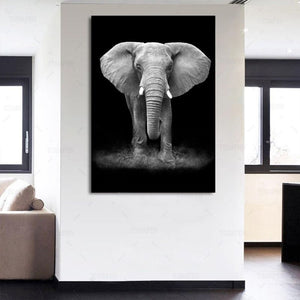 tableau éléphant noir et blanc cadre