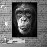 tableau singe noir et blanc cadre