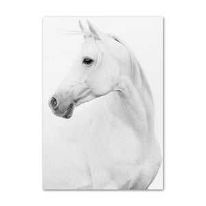 Toile cheval blanc
